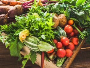 corporate farming