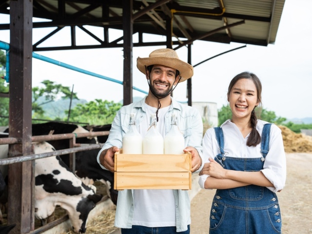 Dairy Farmers
