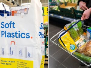 soft plastic
